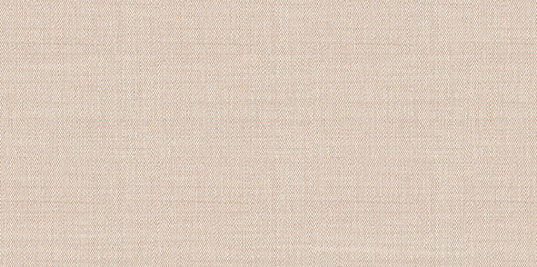 

Керамическая плитка Alma Ceramica Asteria настенная TWU09ATR044 24,9х50