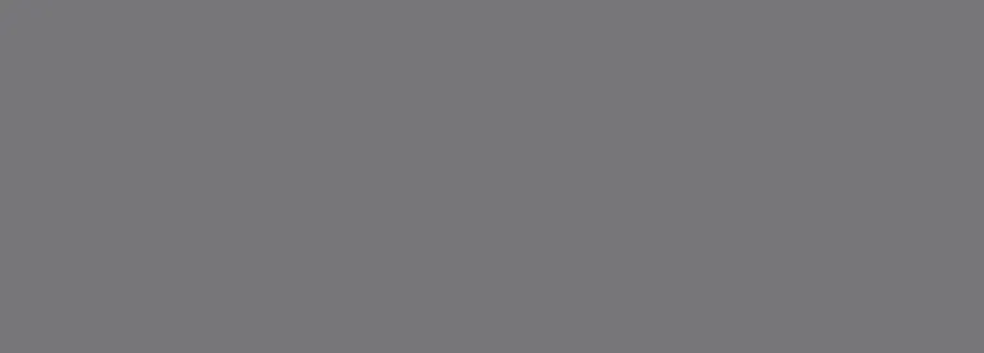 Керамическая плитка Eletto Ceramica Foresta Silver настенная 24,2x70