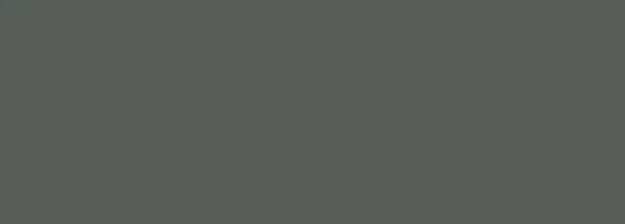 Керамическая плитка Eletto Ceramica Foresta Verde настенная 24,2x70
