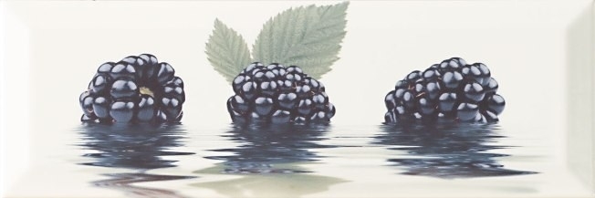 

Керамическая плитка Monopole Fresh Decor Moras Декор 10x30
