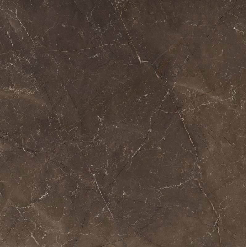 

Керамогранит Colorker Quorum 221078 Emperador Pulido 90x90