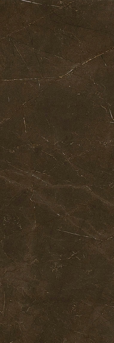 

Керамическая плитка Италон Charme Wall Project Bronze (600010000417) Настенная 25x75