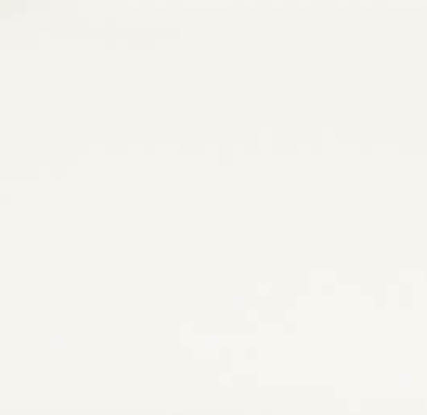 

Керамическая плитка Ascot New England CSL010 Colors Line White напольная 31х31