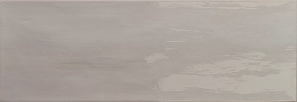 

Керамическая плитка Roca Ceramica Arlette Gris настенная 21,4х61