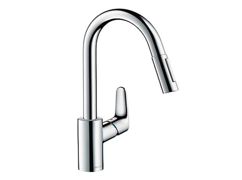 

Смеситель для кухни Hansgrohe Focus 31815800