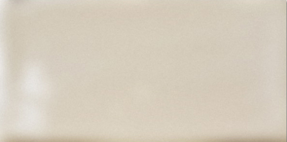 

Керамическая плитка Fabresa Artisan Hueso Mate настенная 10x20