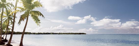 

Керамическая плитка Ibero Groove Decor Beach /C декор 25x75