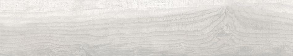 

Керамогранит Emotion Ceramics Kitami Blanco Brillo 23,2х120