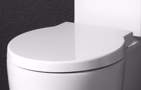 

Сиденье для унитаза BelBagno Sabrina с механизмом Microlift BB122SC