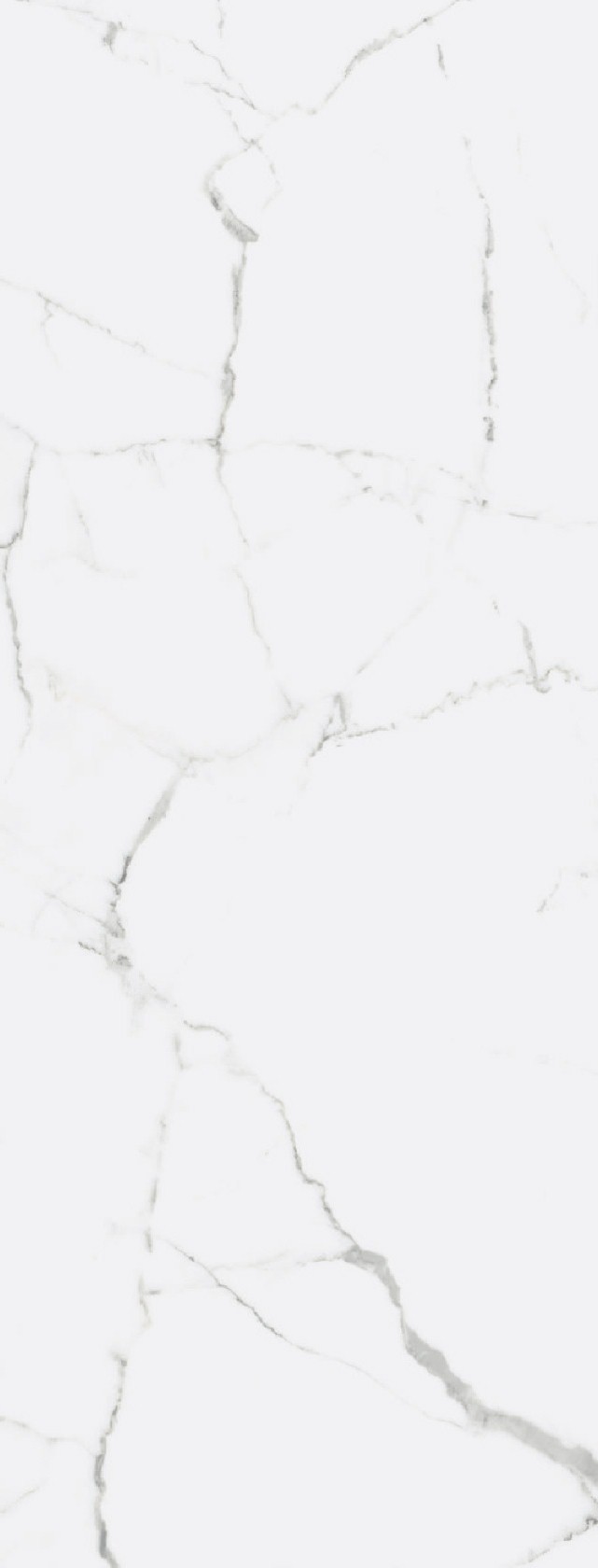 

Керамогранит Fanal Iceberg NPlus 45x118