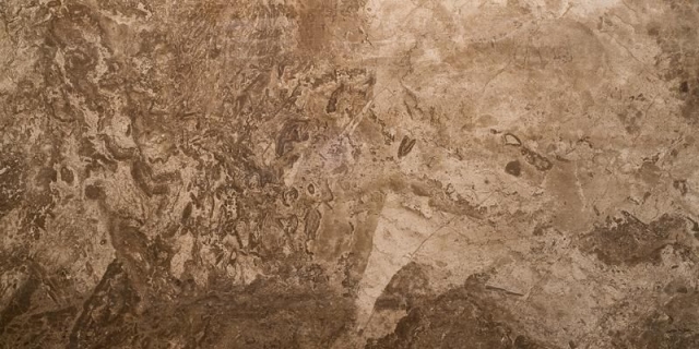 

Керамогранит Seranit Fossil Brown Lappato 60x120