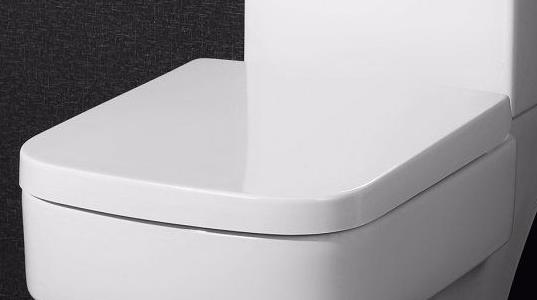

Сиденье для унитаза BelBagno Janice с механизмом Microlift BB124SC