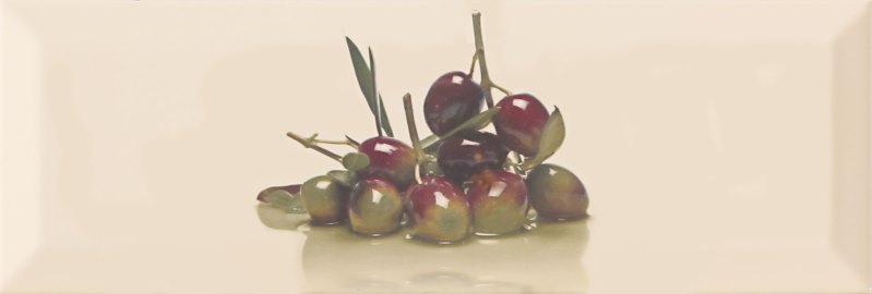 

Керамическая плитка Monopole Gourmet Decor Olivas Декор 10x30
