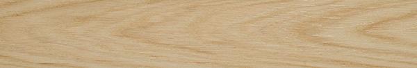 

Керамогранит Blustyle Arborea Cloe 10x60