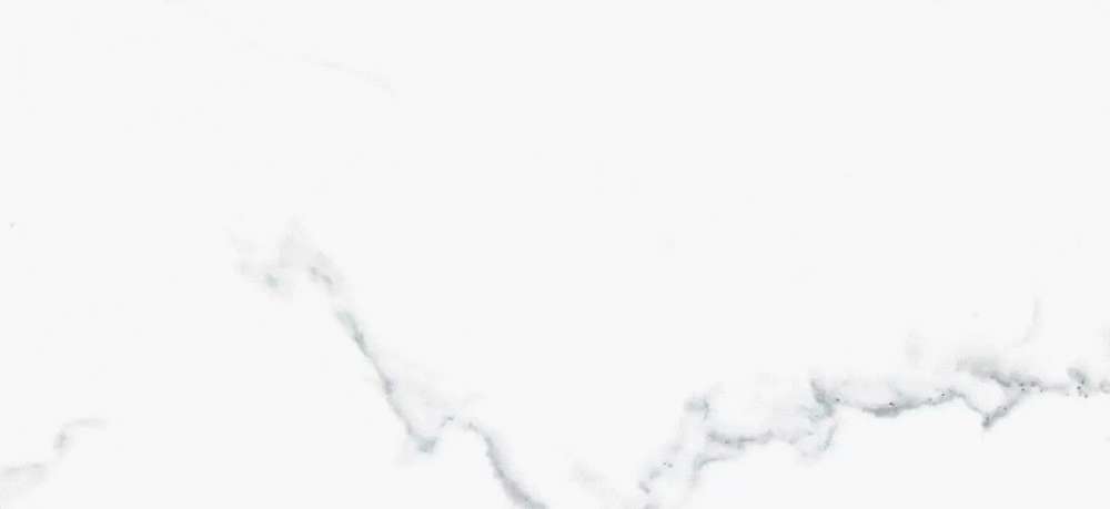 Керамогранит Prissmacer Porcelux Calacatta Blanco 60x120 matt