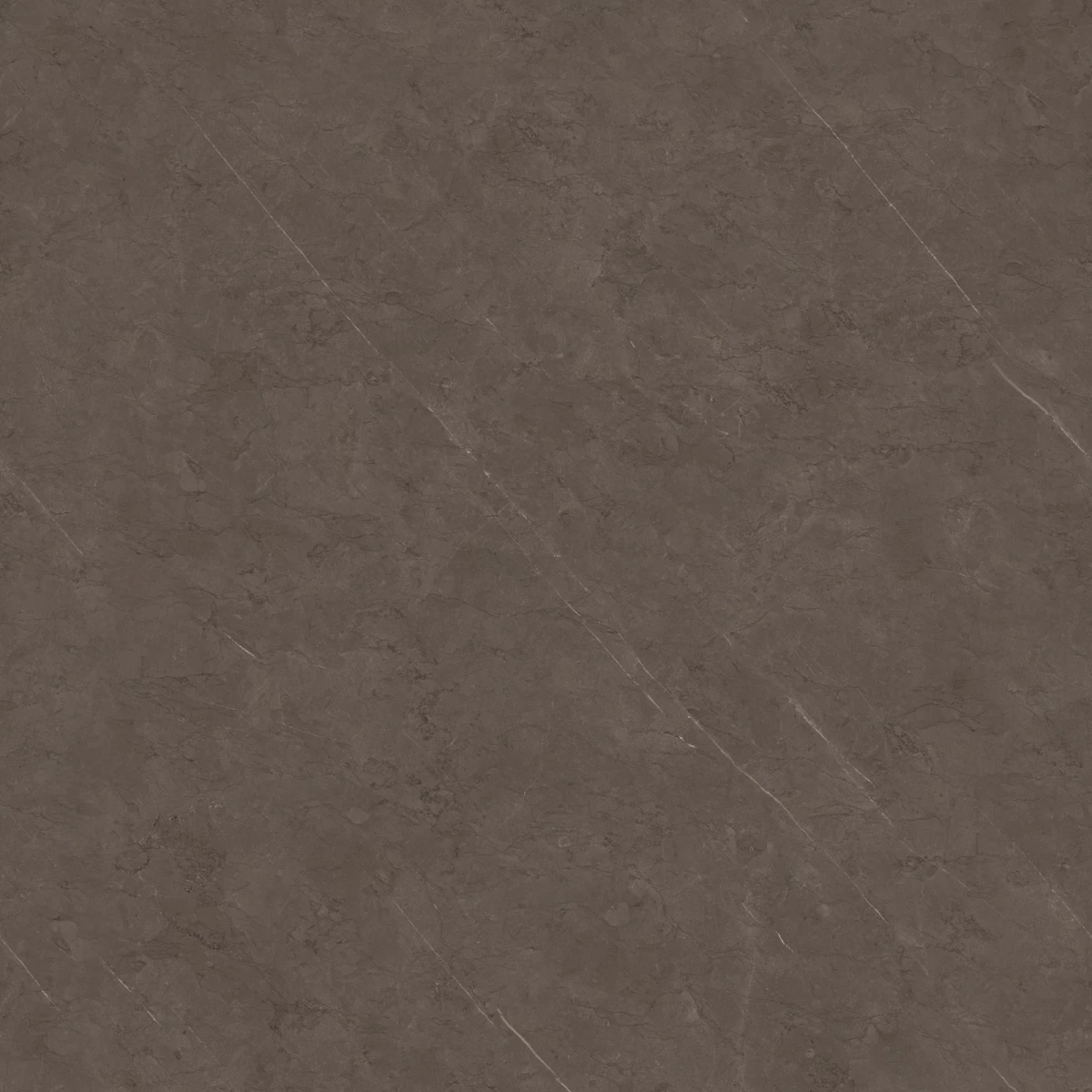 Керамогранит Maimoon Ceramica Pietra Grey 100x100