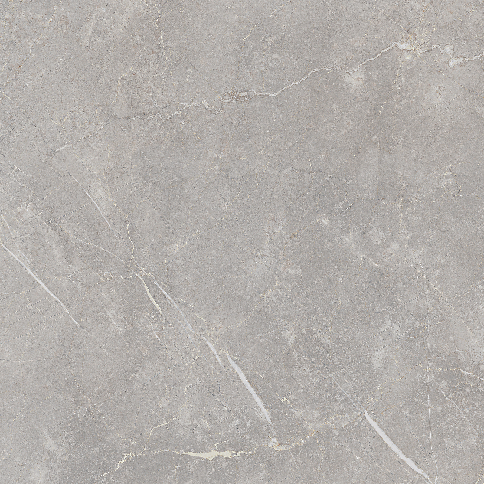 

Керамогранит Италон Charme Evo Imperiale Nat Ret (610010001680) 80х80