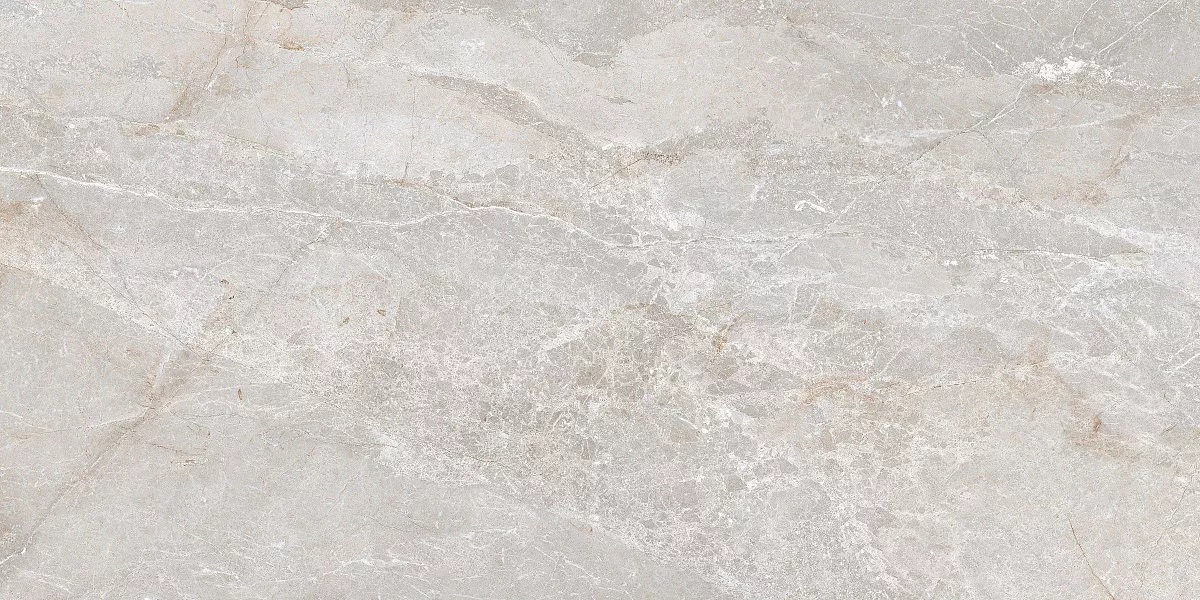 Керамогранит Art Ceramic Stonico Oyster Grey Glossy 60x120