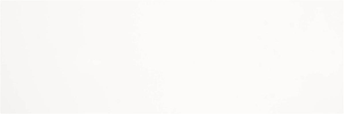 

Керамическая плитка Saloni Eukalypt JKL535 Vantage Blanco Mate настенная 40x120