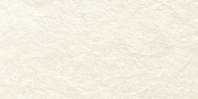 

Керамогранит Seranit Riverstone White Rect Matt 60x120