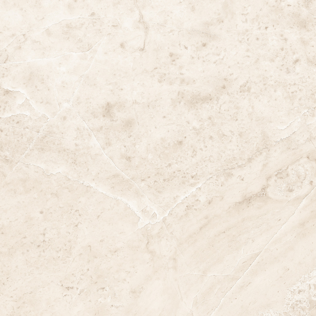 

Керамогранит Ceracasa Vermont Bone Rect. 49,1х49,1