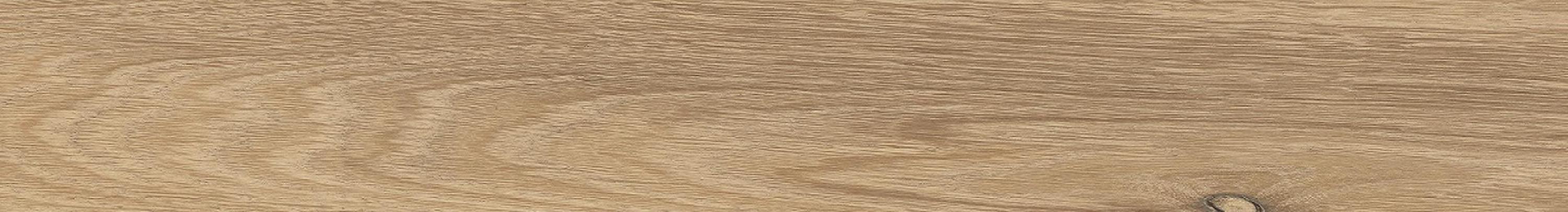 Керамогранит Ergon I-Wood Rovere Dorato 24x278