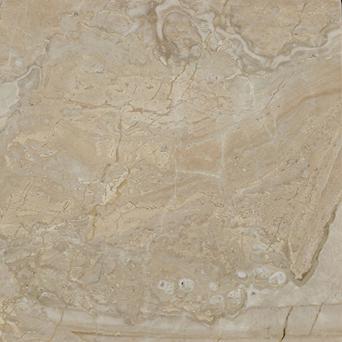 

Керамическая плитка Alma Ceramica Demetra напольная TFU03DMT404 41,8х41,8