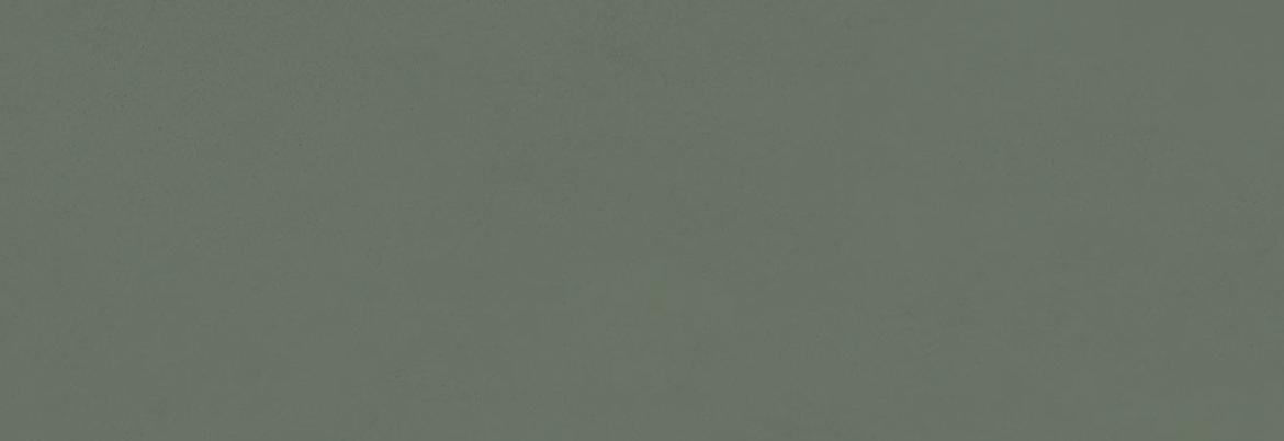 

Керамическая плитка Azulejos Rotterdam Salvia Настенная 28,5х85,5