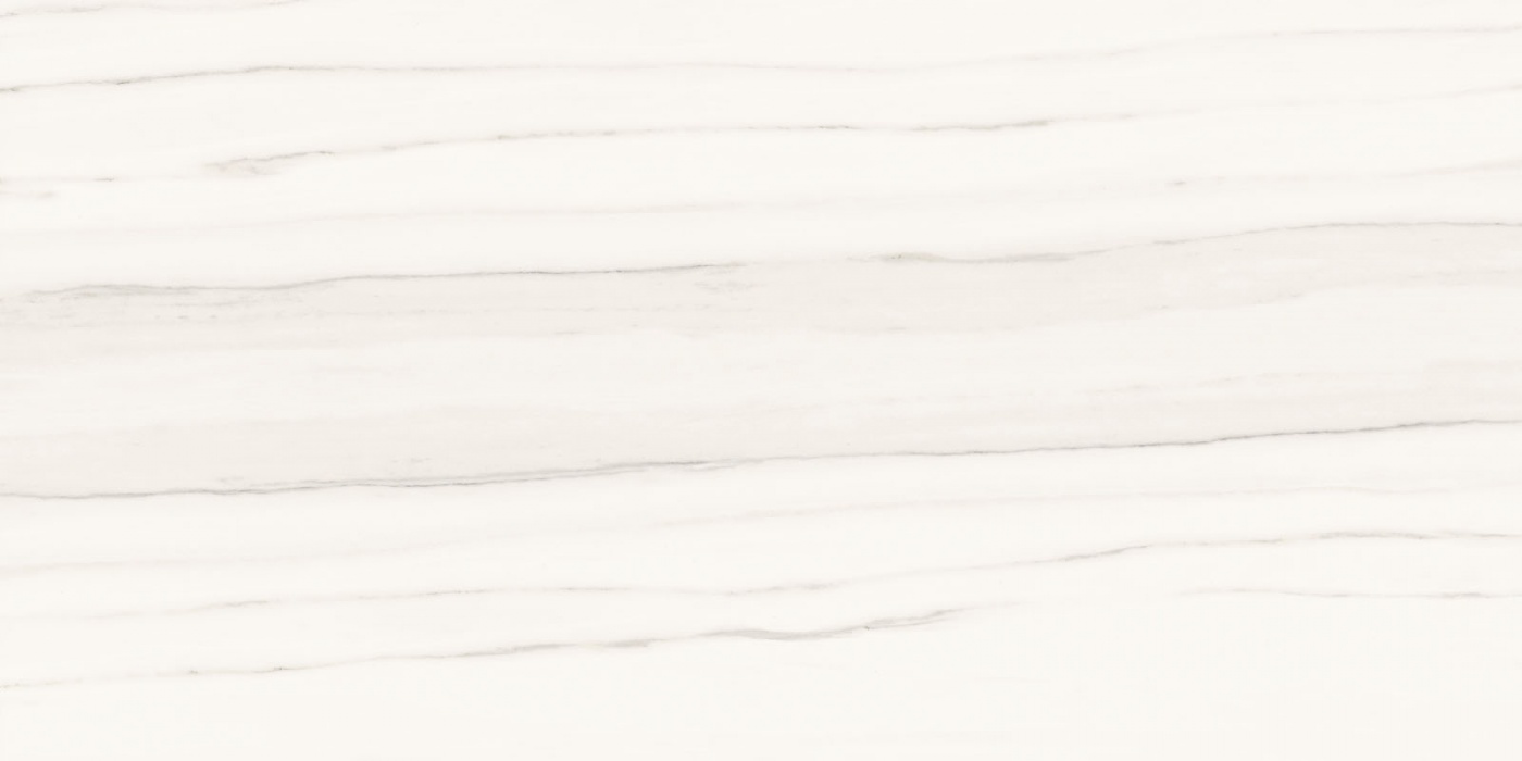 

Керамогранит Ariostea Marmi Classici Zebrino Bianco Luc 60x120