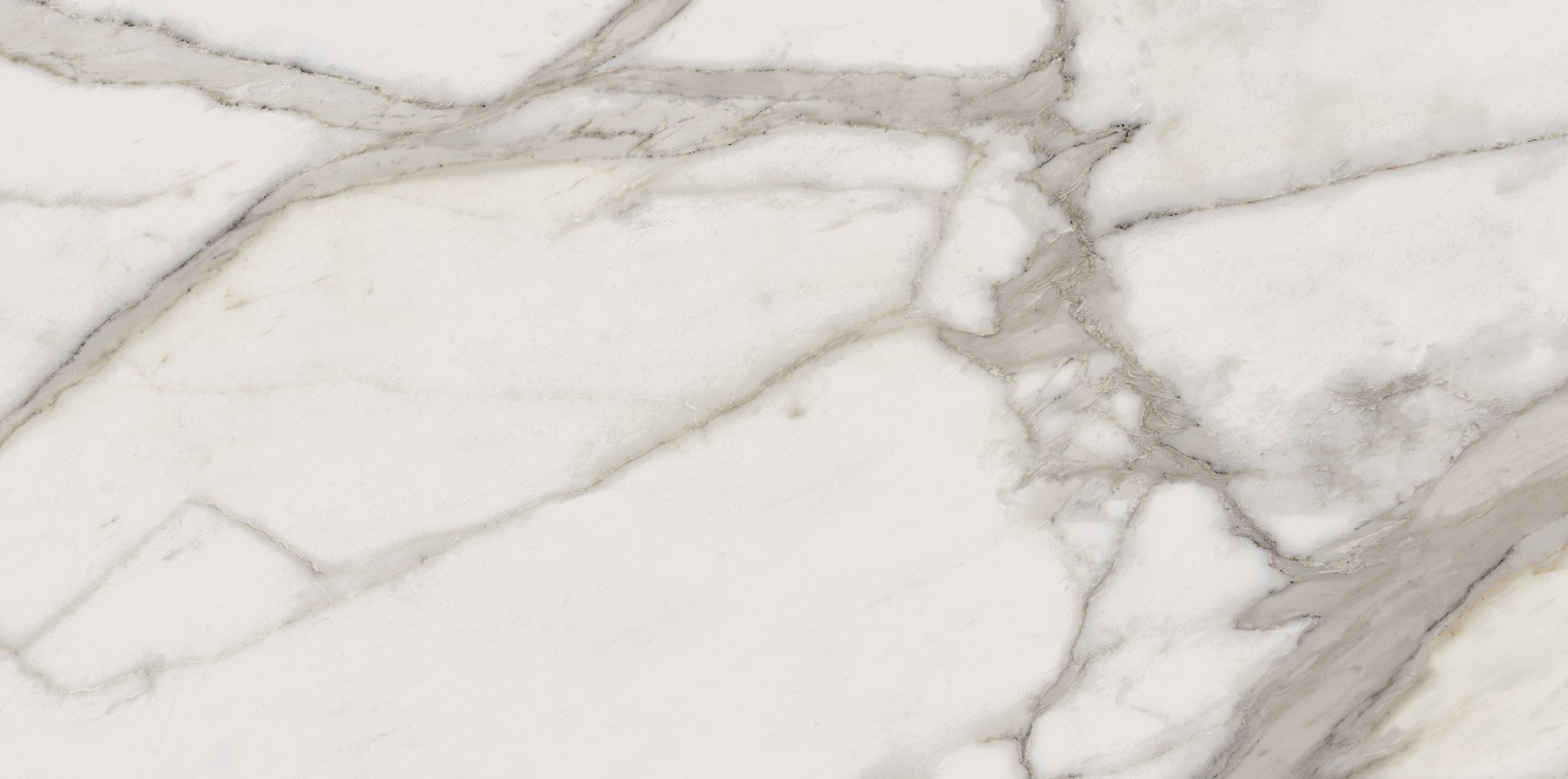 

Керамогранит Италон Charme Evo Calacatta Lux (610015000246) 44х88