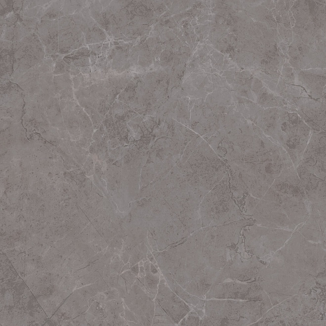 

Керамогранит Kerama Marazzi Гран Пале SG457300R Серый напольный 50,2х50,2