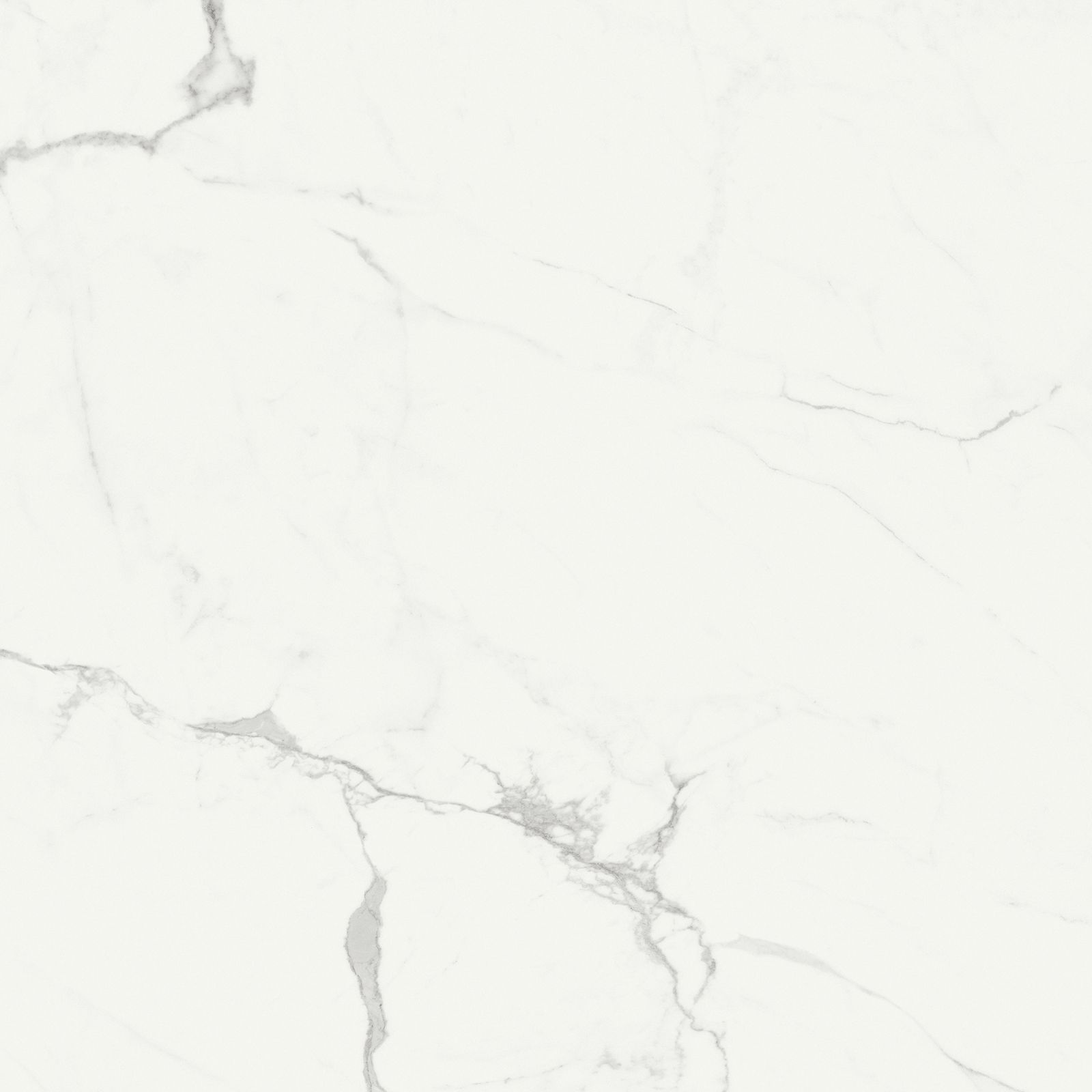 

Керамогранит Ragno Imperiale Statuarietto Glossy Rett 58x58