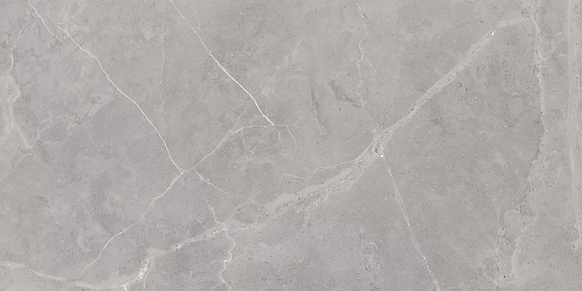 Керамогранит Art Ceramic Berrys Grey 60x120
