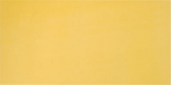 

Керамическая плитка Pamesa Agatha Amarillo настенная 25x50