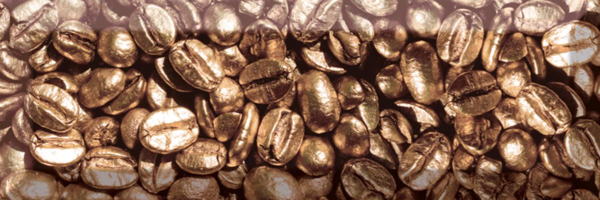 

Керамическая плитка Absolut Keramika Decor Coffe Beans 01 Декор 10x30