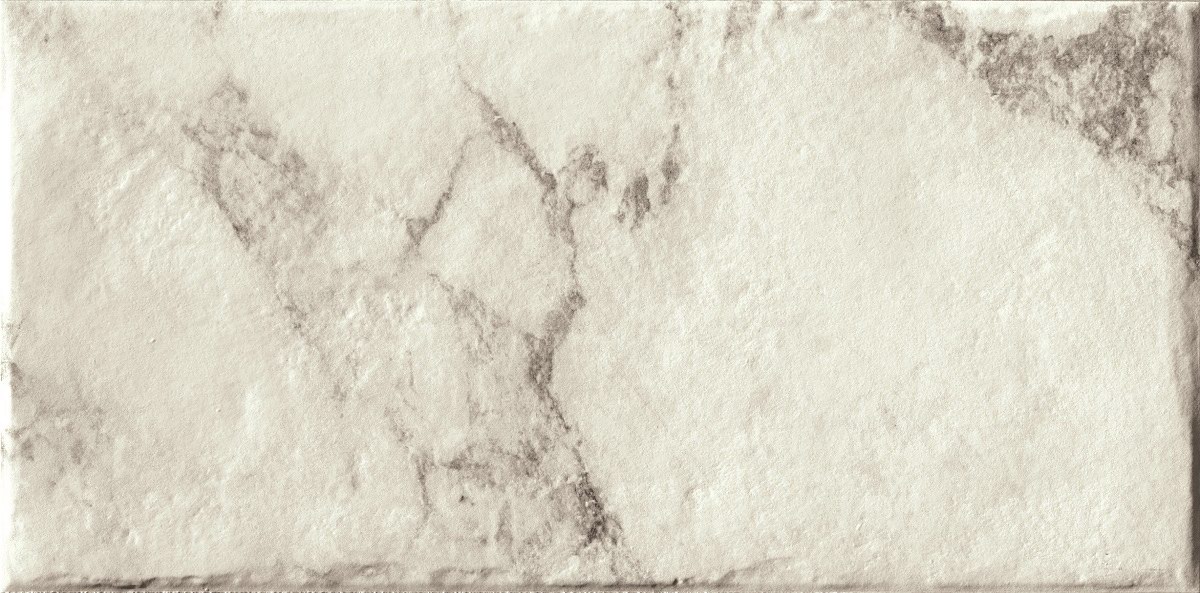 

Керамогранит Serenissima Magistra Paonazzetto 20×40