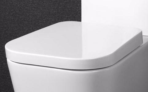 

Сиденье для унитаза BelBagno Romina с механизмом Microlift BB121SC