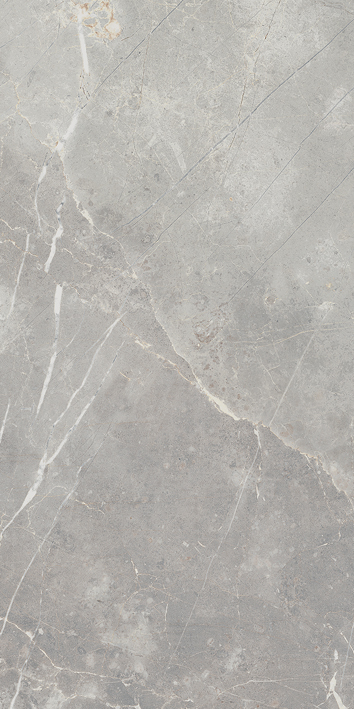 

Керамогранит Италон Charme Evo Imperiale Cer Rett (610015000238) 30х60 патинированный