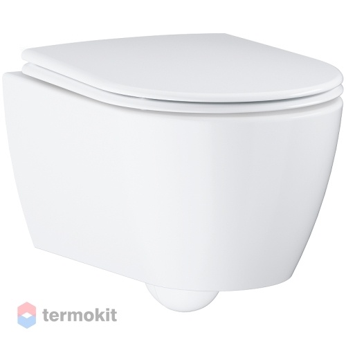 Унитаз подвесной GROHE Essence с сиденьем микролифт альпийский белый 3957100H+39577000