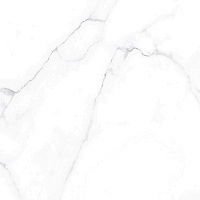 Керамогранит Alma Ceramica Carrara GFU04CRR00R 60х60