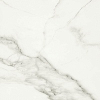 Керамогранит Gracia Ceramica Carrara Premium white белый PG 01 60х60
