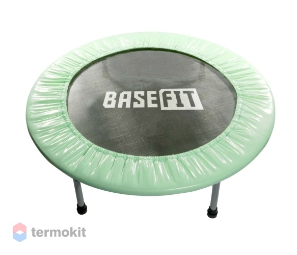 Батут BaseFit TR-101 101 см, зеленый (мятный)