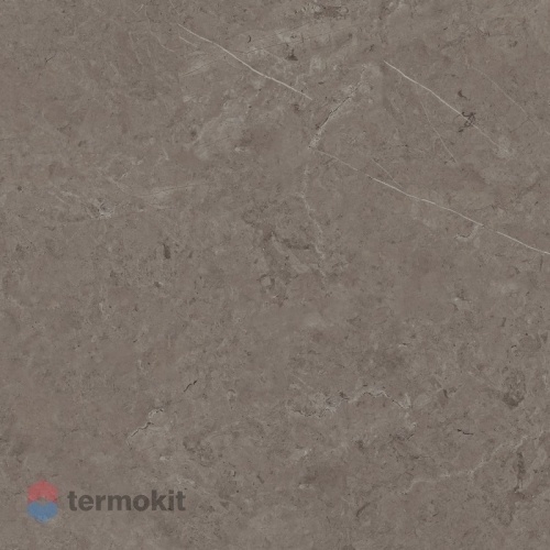 Керамогранит Porcelanosa Karachi P92042861 Acero 120х120