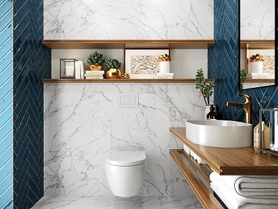 МЕТРОПОЛИТАН