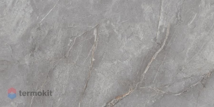 Керамогранит Neodom Belvedere N20484 Orobico Grey Polished 60x120