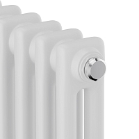 Стальной трубчатый радиатор Royal Thermo Insignia C2180/04 секции с боковым подключением белый RAL9016