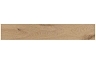 Керамогранит Ergon I-Wood Rovere Dorato 20х120