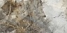 Керамогранит Ape Gold Hard Pol. Rect 60x120
