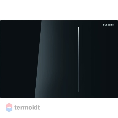 Клавиша смыва Geberit Sigma70 черный 115.625.SJ.1
