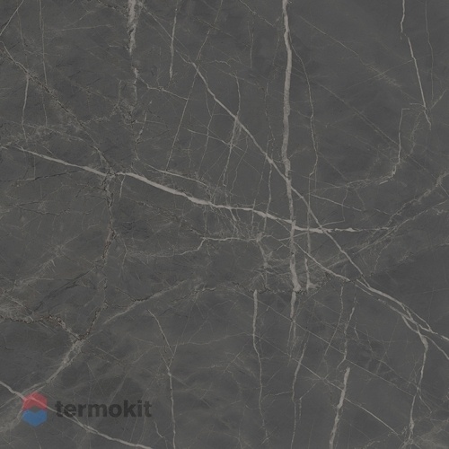 Керамогранит Kerama Marazzi Буонарроти SG642900R серый темный обрезной 60х60